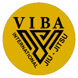 VIBA Academy